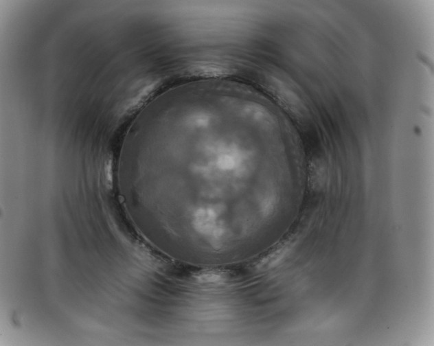 X0000099230358200805011141