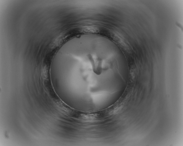 X0000099230359200805011141