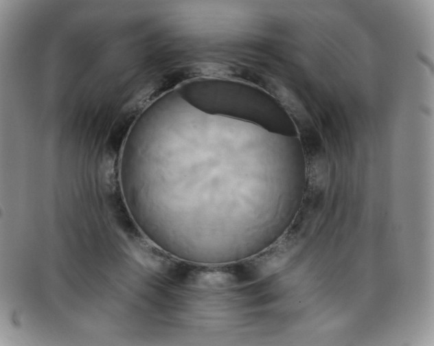 X0000099230360200805011141