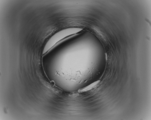 X0000099230362200805011141