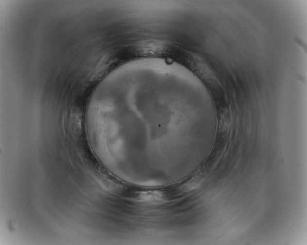 X0000099230363200805011141