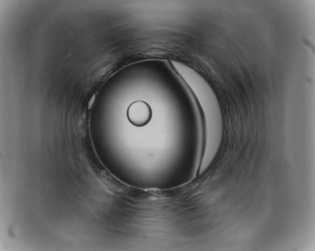 X0000099230364200805011141