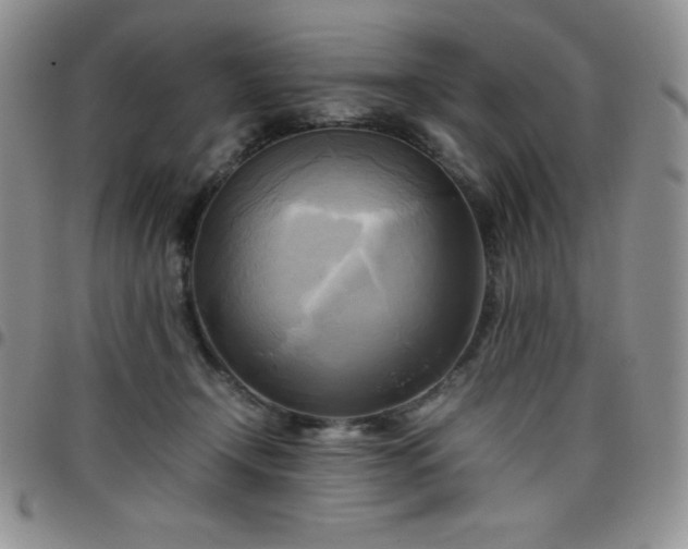 X0000099230366200805011142