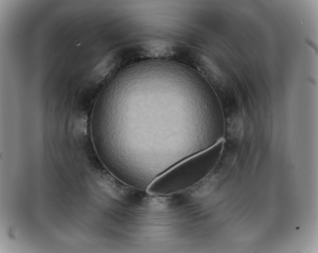 X0000099230368200805011142