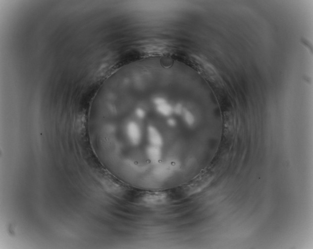 X0000099230369200805011142