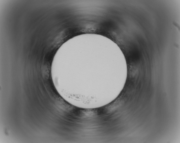 X0000099230370200805011142