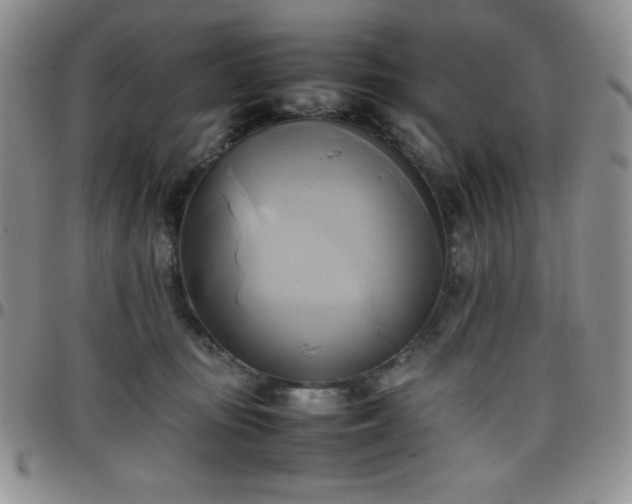 X0000099230371200805011142