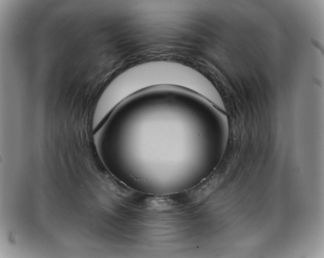 X0000099230372200805011142