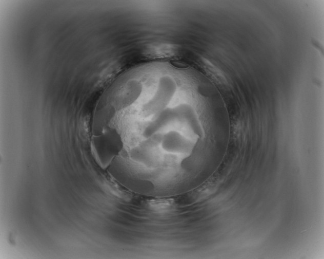 X0000099230373200805011142