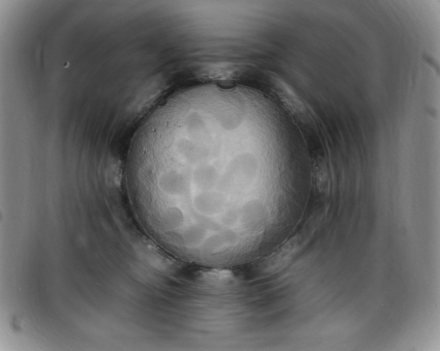 X0000099230374200805011142