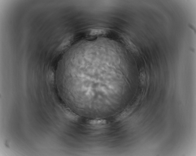 X0000099230375200805011142