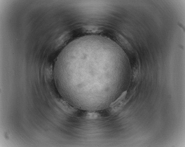 X0000099230376200805011142