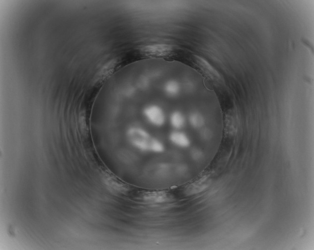 X0000099230377200805011142