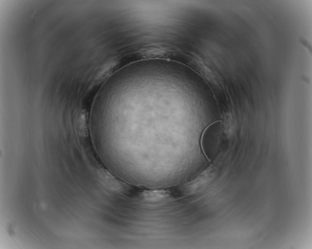 X0000099230378200805011142