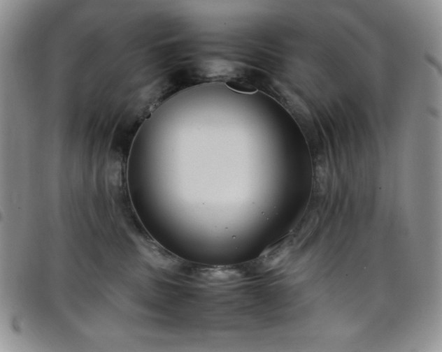 X0000099230379200805011142