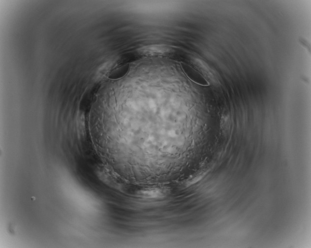 X0000099230381200805011142