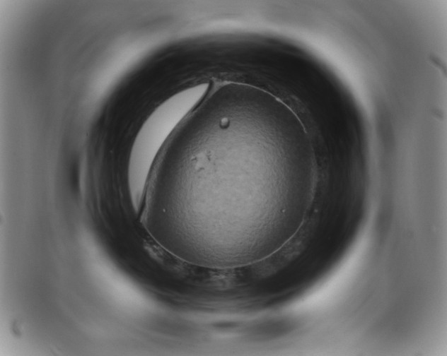 X0000099230382200805011142