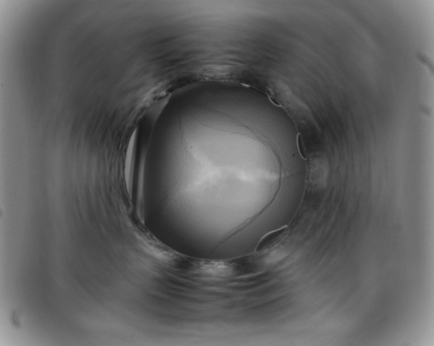 X0000099230383200805011142