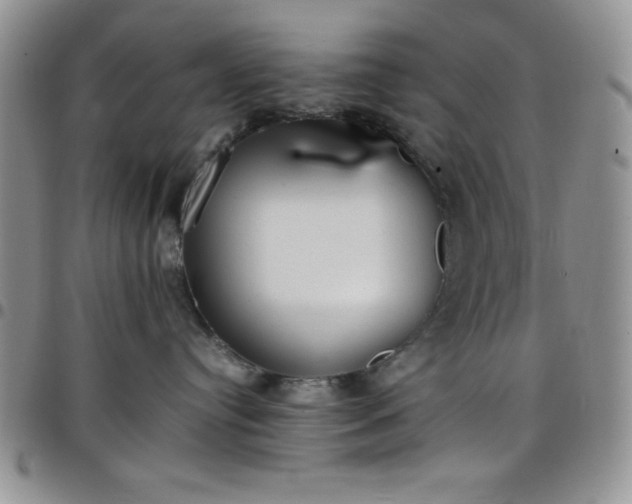 X0000099230384200805011142