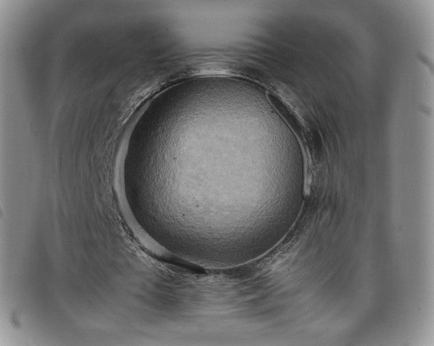 X0000099230385200805011141