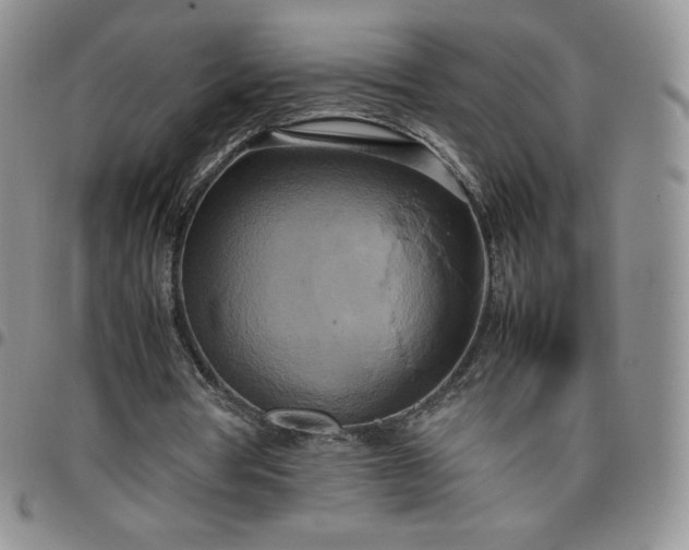 X0000099230386200805011141