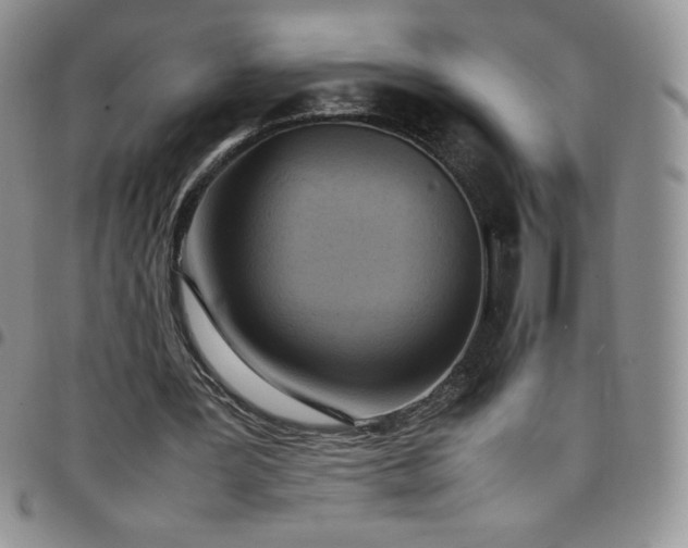 X0000099230387200805011141