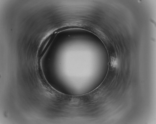 X0000099230388200805011141