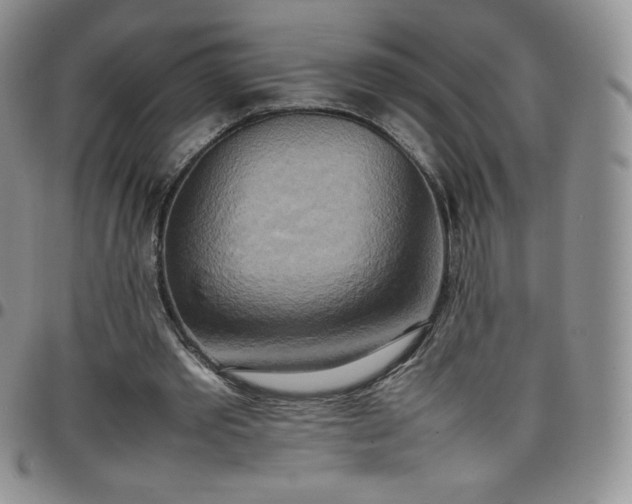 X0000099230389200805011141