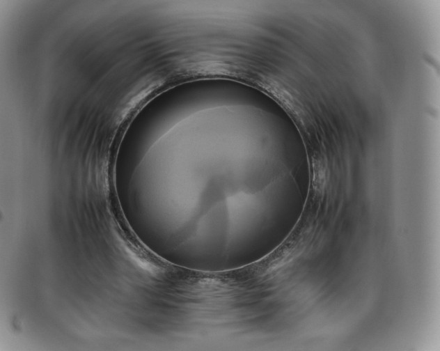 X0000099230390200805011141