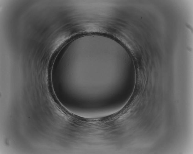 X0000099230391200805011141