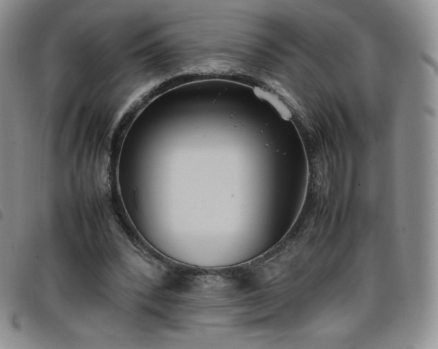 X0000099230392200805011141