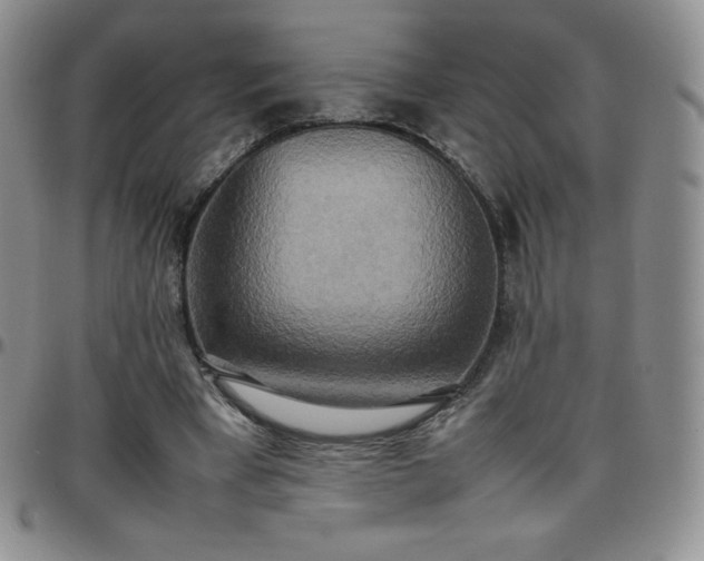 X0000099230393200805011141