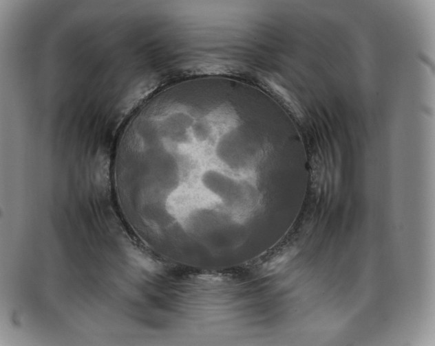 X0000099230394200805011141