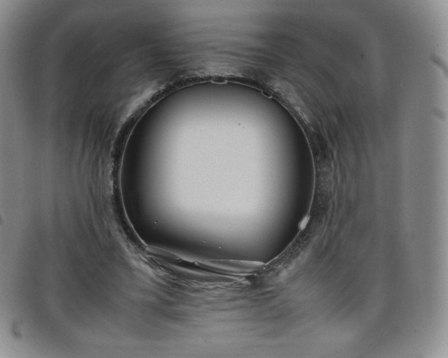 X0000099230395200805011141