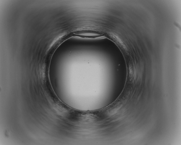 X0000099230396200805011141