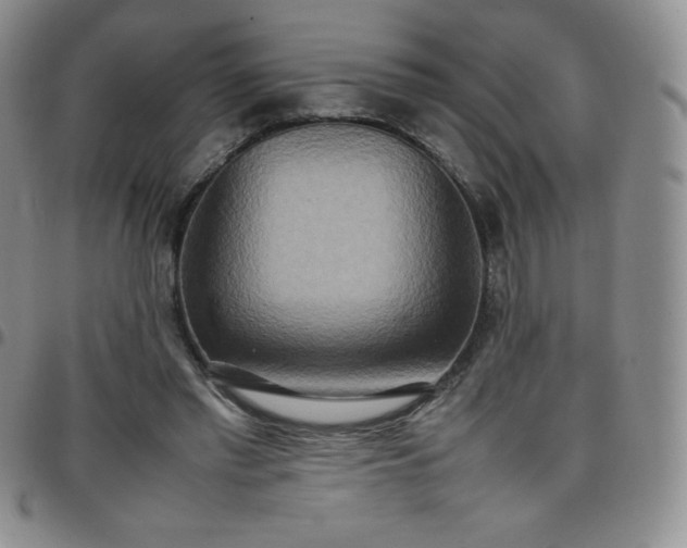 X0000099230397200805011141