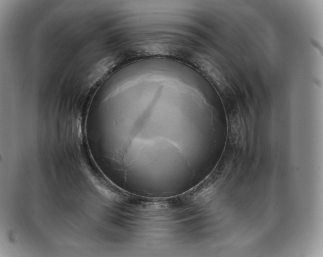 X0000099230398200805011141