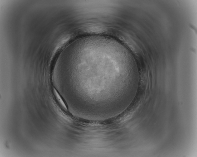 X0000099230399200805011141