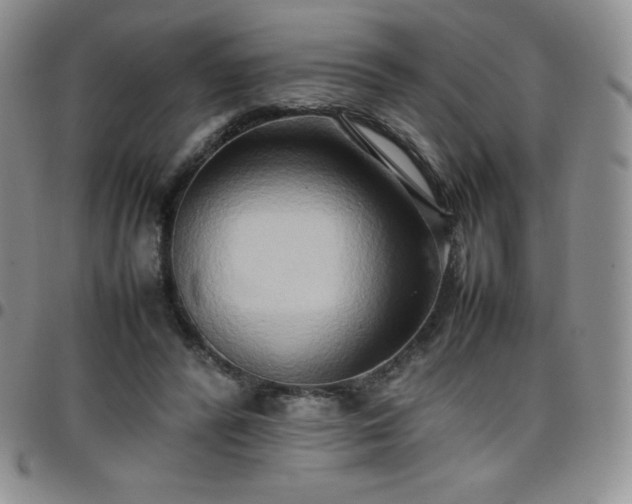 X0000099230400200805011141