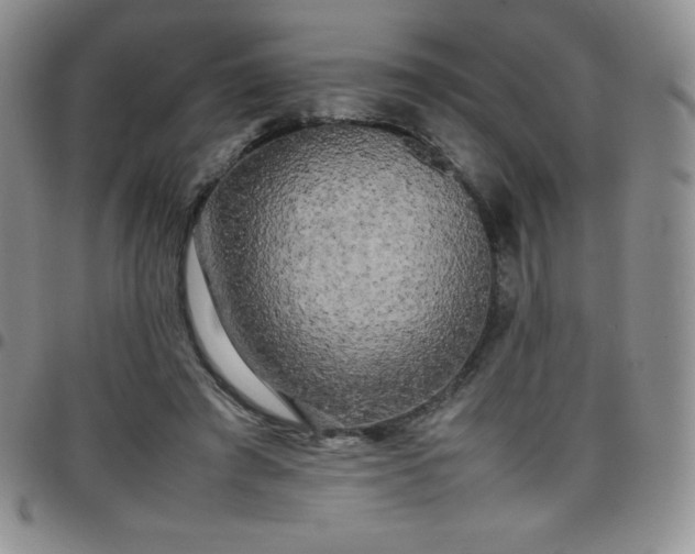 X0000099230401200805011141