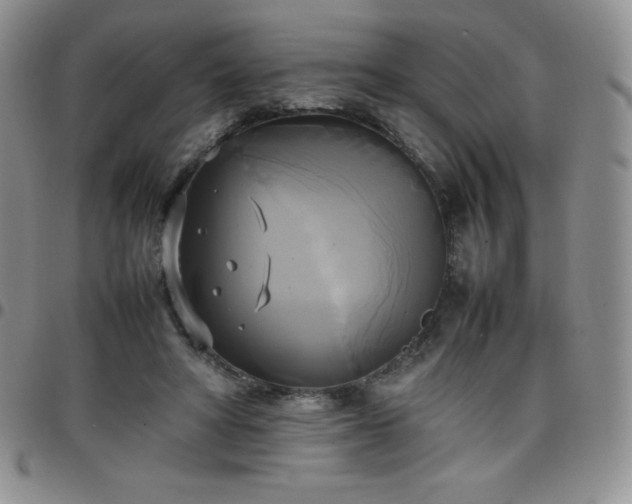 X0000099230402200805011141