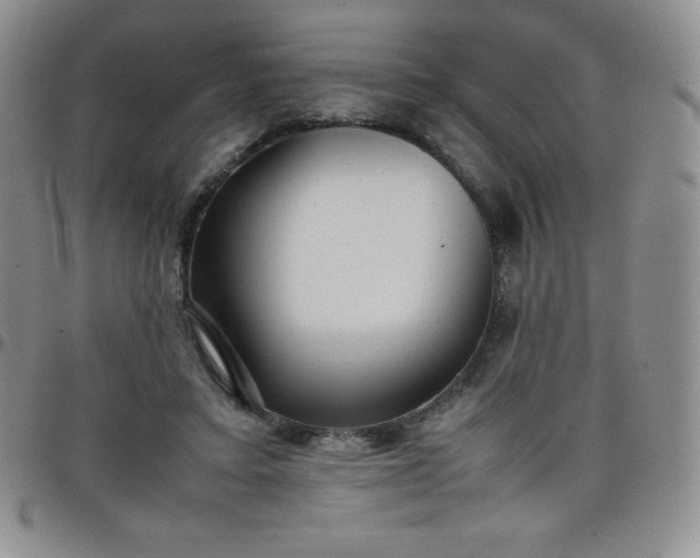 X0000099230403200805011141