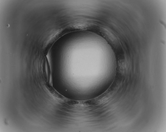 X0000099230404200805011141