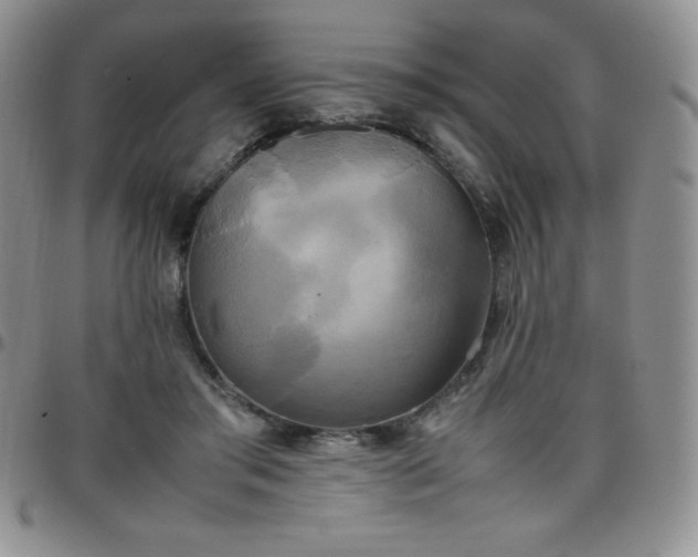 X0000099230405200805011141