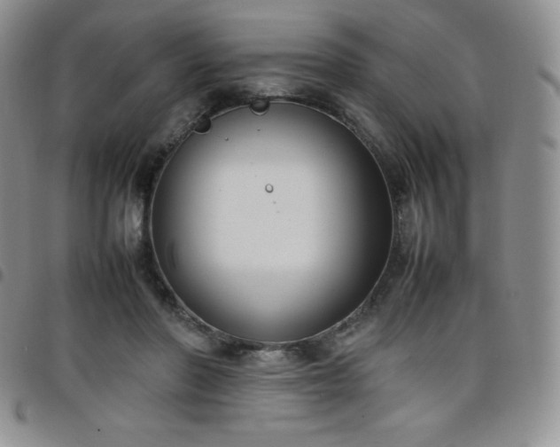 X0000099230406200805011141