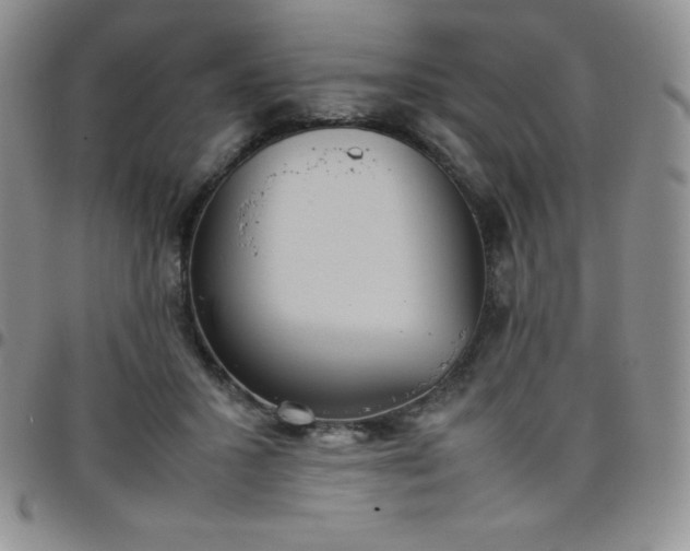 X0000099230407200805011141