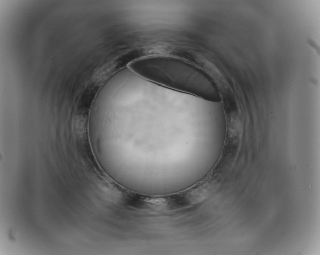 X0000099230409200805011141