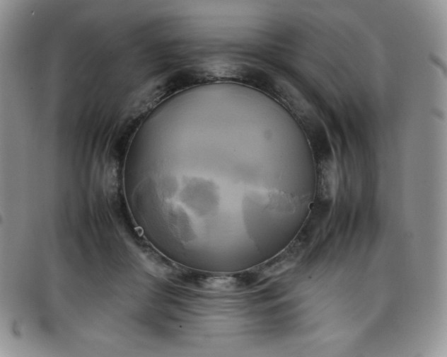 X0000099230410200805011141