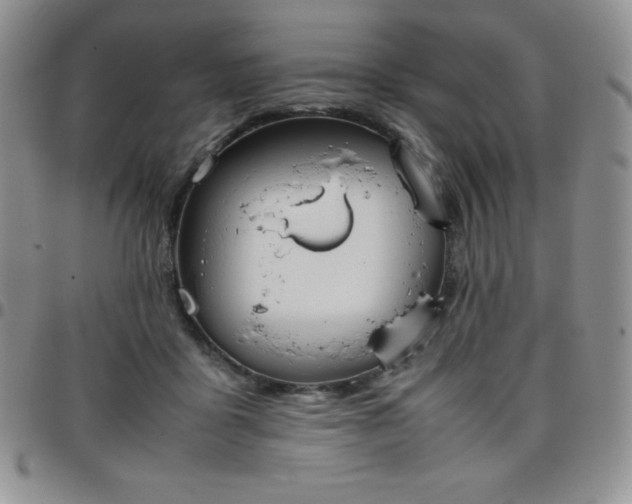 X0000099230411200805011141