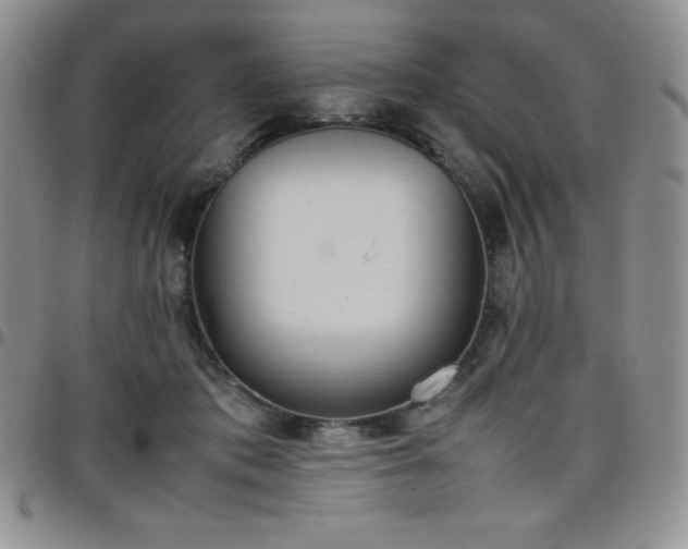 X0000099230413200805011141